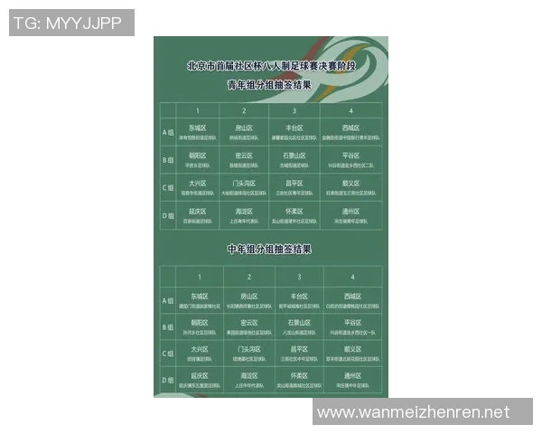 实时新闻深入分析北京排球队整体压制战术的优势与实施策略